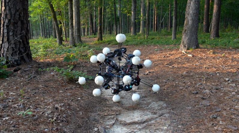 Scientists found the optimal robot body, and it has 20 legs ‪—‬ watch it scale walls and move through trees