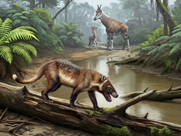 Paleontologists Identify New Hyaenodont Species in Pakistan