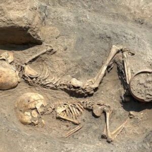 Bronze Age 5-year-old’s skull found in Uzbekistan is the oldest known evidence of surgery in Central Asia