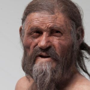‘It was very very good’: Ötzi the Iceman’s body is covered in ancient yeast — and scientists just used it to make a sourdough