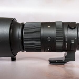 SIGMA 60-600mm f/4.5-6.3 DG DN OS Sport lens review