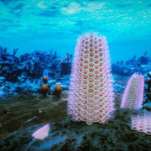 Complex Colonial Life Was Already Thriving during Cambrian Explosion