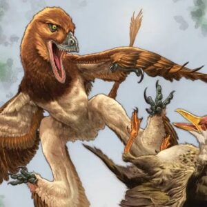 New Microraptorine Dinosaur Discovered in China