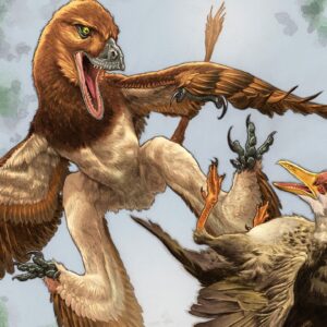 New Velociraptor cousin was a ‘4-winged’ dragon that hunted prey from the trees of ancient China, fossil find hints