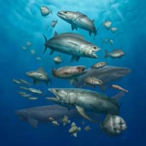 Fish Fossils from Early Paleocene Fill 10-Million-Year Gap after Dinosaur Extinction