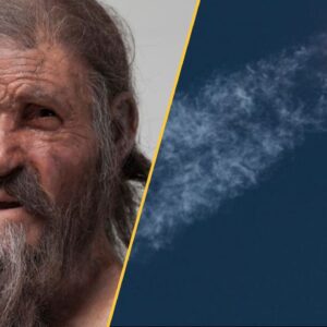 Science news this week: Ötzi the Iceman used to make sourdough, Italian teenagers discover Roman villa under school, Google plans to release 64 million mosquitos, and RIP to NASA’s Maven probe