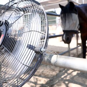 Stupid hot: Heat waves cause cognitive changes in animals, making them more aggressive and unable to complete basic tasks