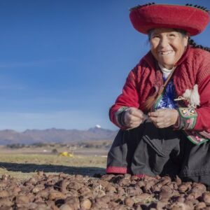 Thanks to natural selection, Indigenous Andeans may digest potatoes better than anyone else in the world, study finds