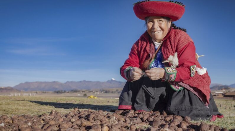 Thanks to natural selection, Indigenous Andeans may digest potatoes better than anyone else in the world, study finds