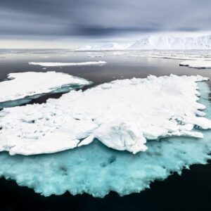 Sea ice loss in the Arctic has triggered a critical tipping point that’s destroying the food chain