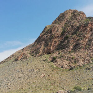 Stone Tools from Armenian Cave Reveal Split Strategy for Survival 50,000 Years Ago