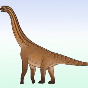 Small Sauropod Dinosaur from Jurassic Period Discovered in India