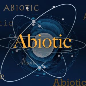 Science word of the day: Abiotic
