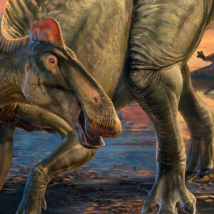 Tyrannosaurus rex Scavenged Duck-Billed Dinosaurs in Ancient Wyoming, Bite Marks Reveal