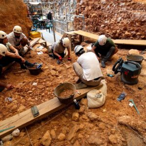 Ancient human relative cannibalized both adults and children in a cave in Spain 850,000 years ago, fossils reveal