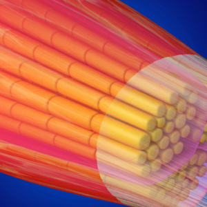 Scientists may have found a clue to prevent muscles from aging, study hints