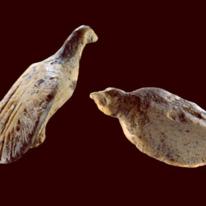40,000-Year-Old Bird Figurines Found in German Cave