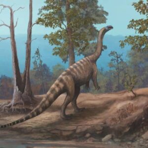New Species of Triassic Dinosaur Discovered on Shores of Zimbabwe’s Lake Kariba