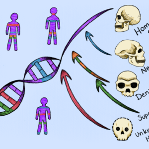 Scientists discover 2 new ‘ghost’ lineages that contributed DNA to modern humans