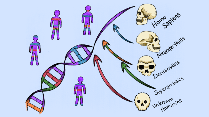 Scientists discover 2 new ‘ghost’ lineages that contributed DNA to modern humans