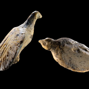40,000-year-old bird figurines the size of a thumbnail discovered in German cave
