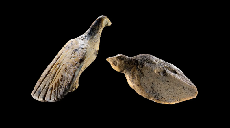 40,000-year-old bird figurines the size of a thumbnail discovered in German cave