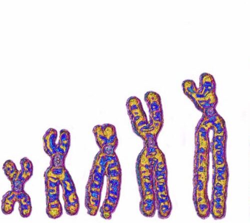 Not just Neanderthals: Ghost lineage in Africa left its mark on our DNA