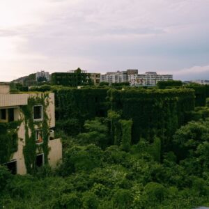 ‘The apparent chaos of the Anthropocene is turbocharging evolution itself’: Plants are finding ways to survive and thrive in the climate crisis — if we let them