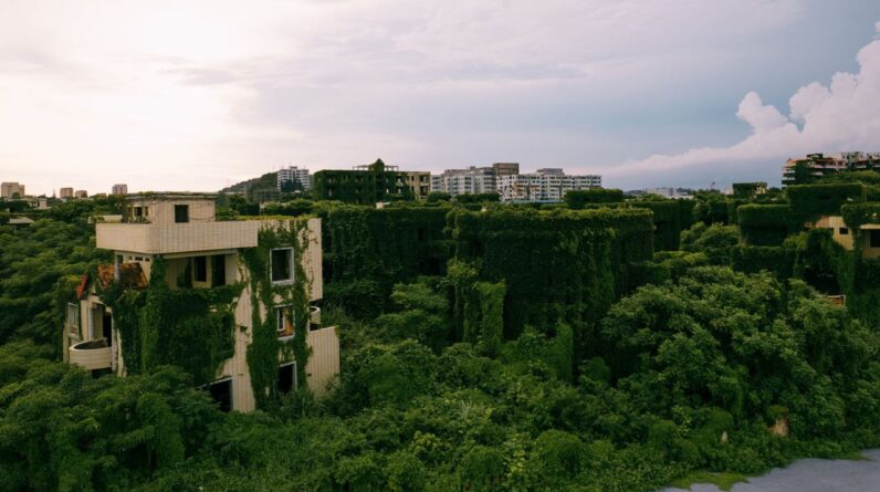 ‘The apparent chaos of the Anthropocene is turbocharging evolution itself’: Plants are finding ways to survive and thrive in the climate crisis — if we let them