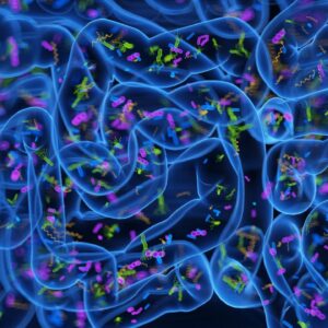 ‘Poop pills’ may ease insomnia by reprogramming the gut microbiome, early study hints