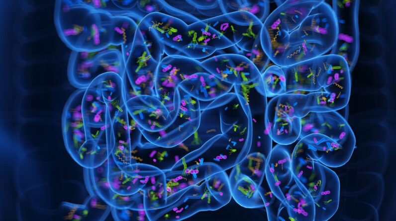 ‘Poop pills’ may ease insomnia by reprogramming the gut microbiome, early study hints