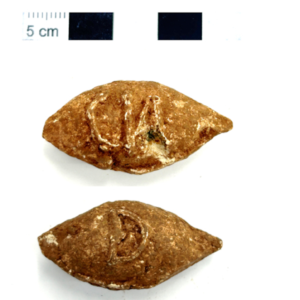 Ancient bullets reveal where a Roman camp hid in the Pyrenees of Spain before being ambushed