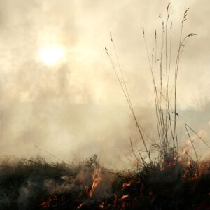 Super El Niño may push an already stressed climate ecosystem across a critical threshold, climate change researcher says