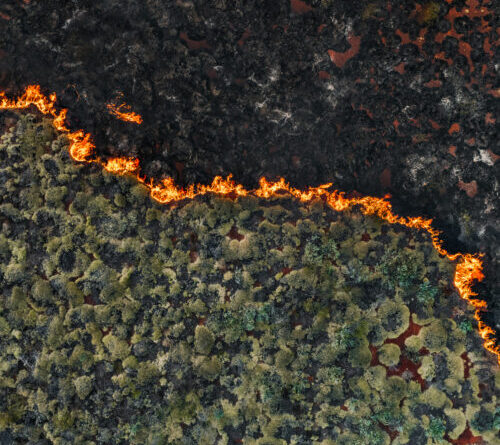Senators demand crackdown on wildfire “prediction markets”