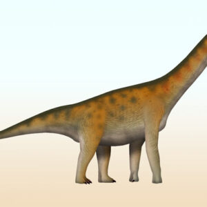 Fossil Find in China Reveals Dinosaur Family Never Before Seen in East Asia