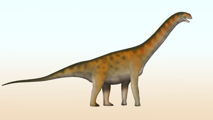 Fossil Find in China Reveals Dinosaur Family Never Before Seen in East Asia