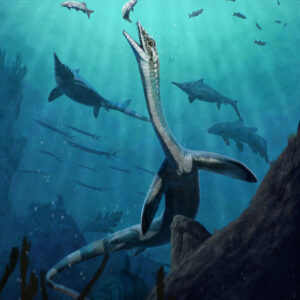 244-Million-Year-Old Fossil Preserves Earliest Reptilian Digestive System