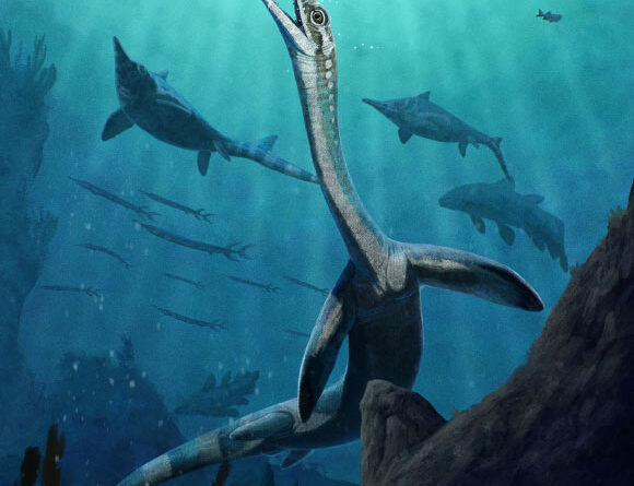 244-Million-Year-Old Fossil Preserves Earliest Reptilian Digestive System