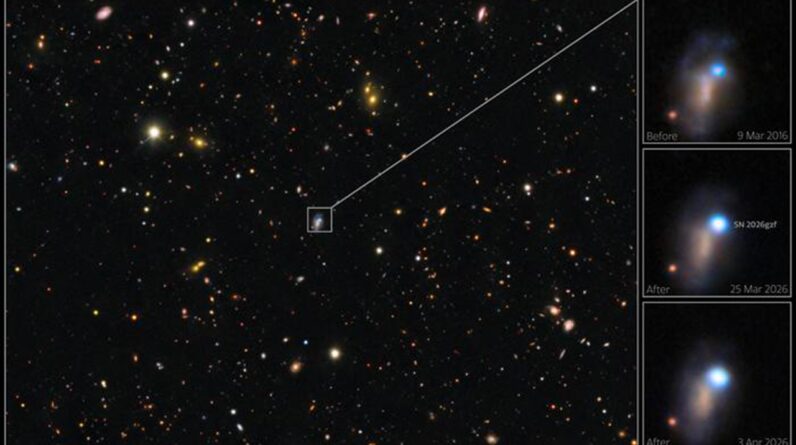 A star 20 times the size of the sun died in a supernova — and telescopes around the world joined forces to watch it