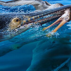 Stunning fossil from Australian outback reveals pliosaur killed a sea monster that had just eaten a pterosaur