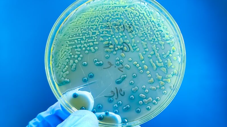 ‘It’s real, and it’s happening’: Antibiotic resistance in kids is rising around the world, massive study finds