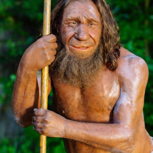 Neanderthal Gene Still Shapes Muscle and Jaws in Some Living Humans