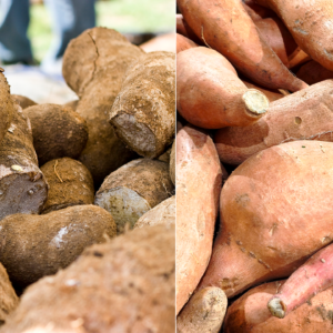 What’s the difference between sweet potatoes and yams?