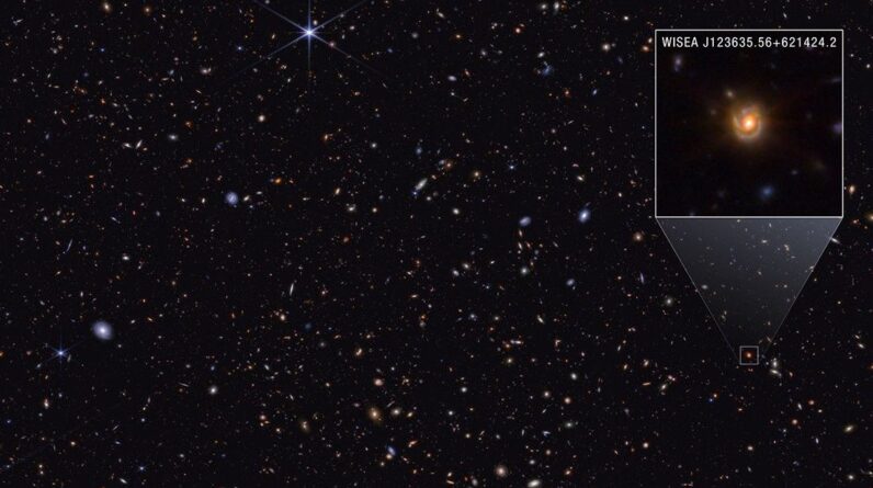 New James Webb telescope image may reveal the true identity of ‘little red dots’ — Space photo of the week