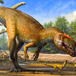 Why Were There No Tiny Non-Avian Dinosaurs? Mammals May Have Been to Blame