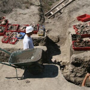 ‘They basically used these dried-up wells just to throw people in’: 43 skeletons found in Roman-era well may be evidence of deadly plague