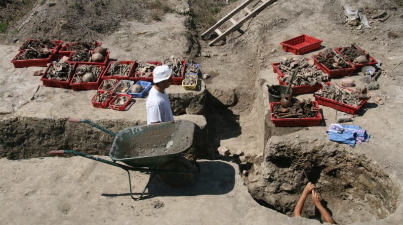 ‘They basically used these dried-up wells just to throw people in’: 43 skeletons found in Roman-era well may be evidence of deadly plague