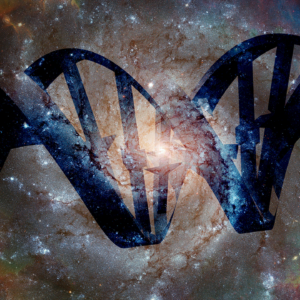 Which building blocks of life have been found in space, and which haven’t?