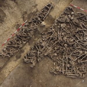 ‘The lance head was still inside the pelvis’: Mass grave found in Austria may hold casualties of unknown ancient Roman battle