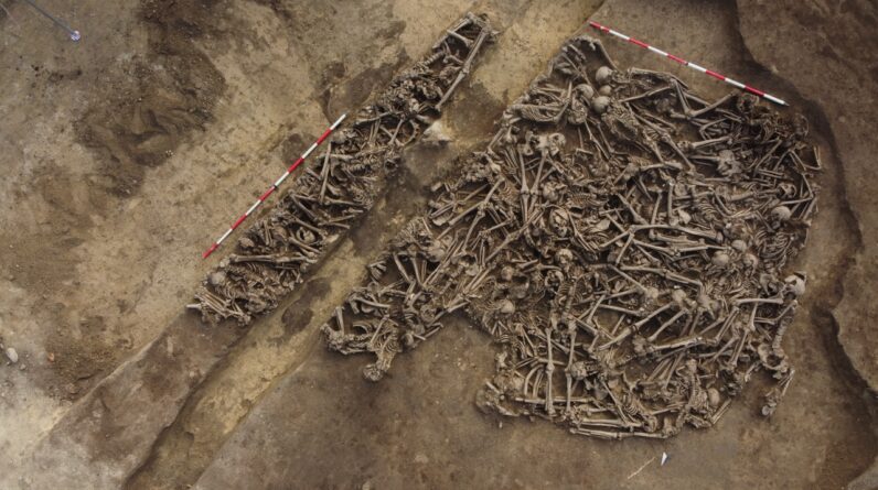 ‘The lance head was still inside the pelvis’: Mass grave found in Austria may hold casualties of unknown ancient Roman battle